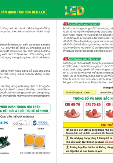 CATALOGUE ĐÈN TRANG TRÍ EUROTO - 2025