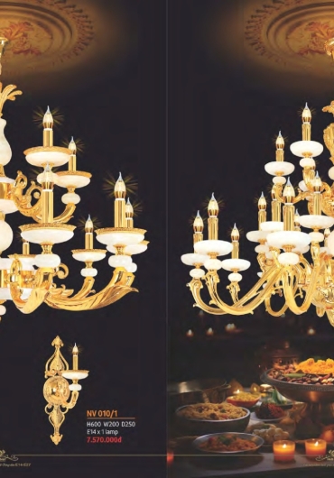 CATALOGUE NAM LONG CHÙM ĐỒNG, FALE - 2025