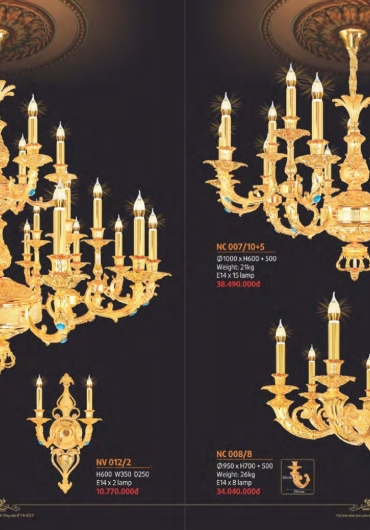 CATALOGUE NAM LONG CHÙM ĐỒNG, FALE - 2025