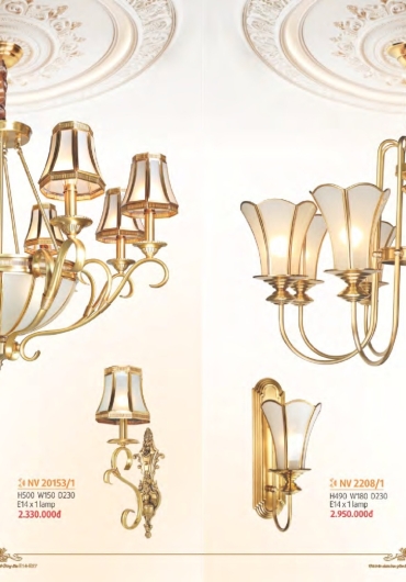 CATALOGUE NAM LONG CHÙM ĐỒNG, FALE - 2025