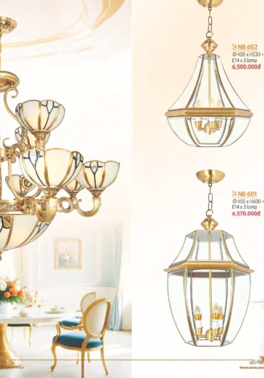 CATALOGUE NAM LONG CHÙM ĐỒNG, FALE - 2025