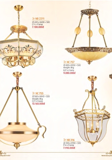 CATALOGUE NAM LONG CHÙM ĐỒNG, FALE - 2025