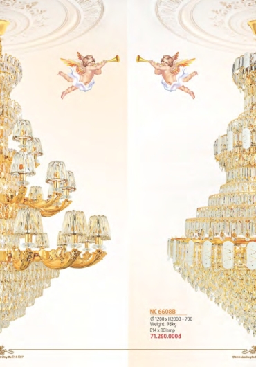 CATALOGUE NAM LONG CHÙM ĐỒNG, FALE - 2025