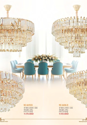 CATALOGUE NAM LONG CHÙM ĐỒNG, FALE - 2025