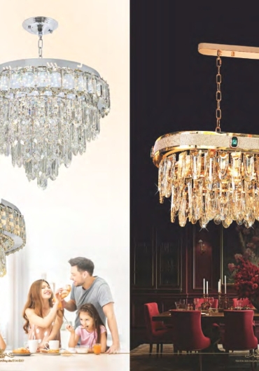 CATALOGUE NAM LONG CHÙM ĐỒNG, FALE - 2025