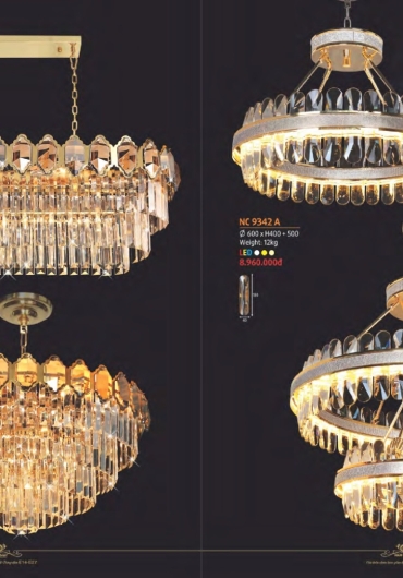 CATALOGUE NAM LONG CHÙM ĐỒNG, FALE - 2025
