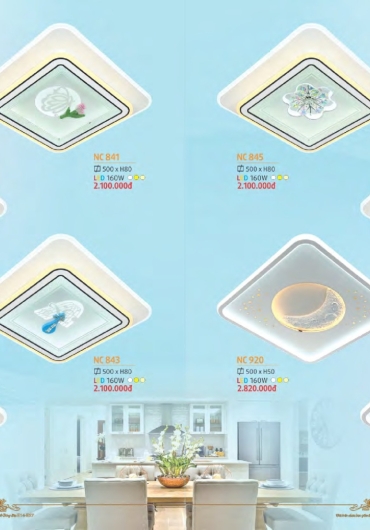 CATALOGUE NAM LONG CHÙM NẾN, MÂM LED - 2025