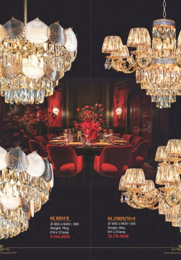 CATALOGUE NAM LONG CHÙM ĐỒNG, FALE - 2025